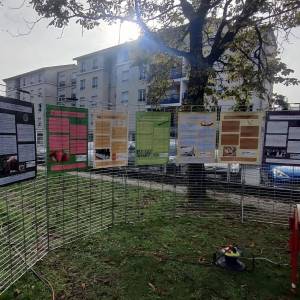 1502347449669630362_original