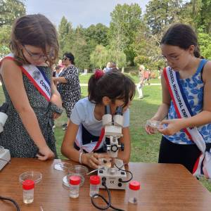 8826722686397209364_original