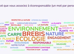 JOURNEE_DD_4_original