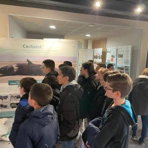 IMG-20231207-WA0004_original