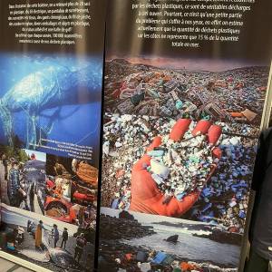 IMG-20231207-WA0016_original