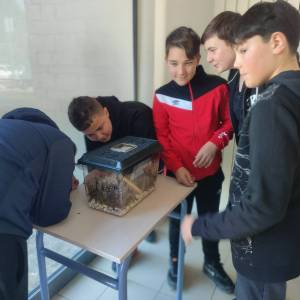 IMG_20240319_150712_original