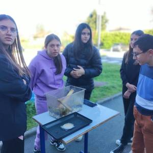 IMG_20240319_170608_original