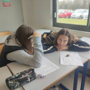 IMG_20240326_112939_original