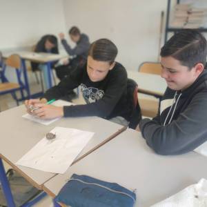 IMG_20240326_112945_original