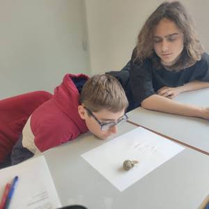 IMG_20240326_154715_original