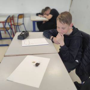 IMG_20240326_154719_original