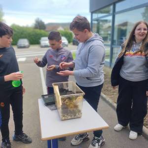 IMG_20240405_144737_original