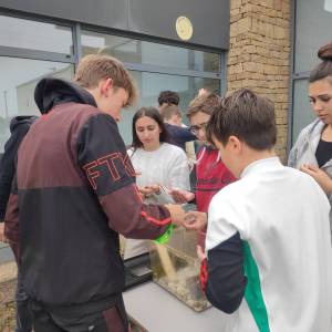 IMG_20240405_154302_original