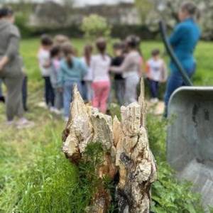 2660566121566228989_original