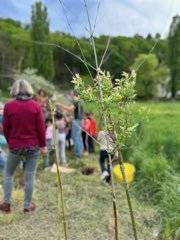 4254818625984711774_original