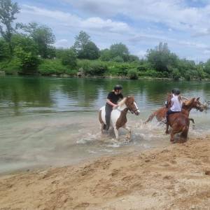 426389151_962128785701832_2535407002579103355_n_original