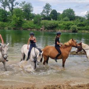 445360111_962128739035170_3482856010413402713_n_original