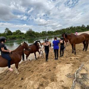 445378297_962128755701835_7515597873559456069_n_original