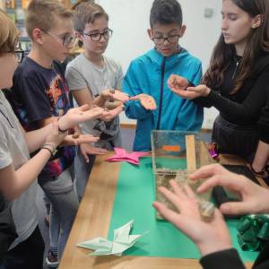 IMG_20240531_153125_original