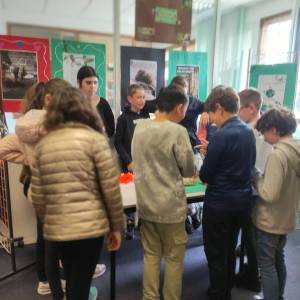 IMG_20240531_153511_1_original