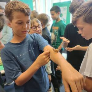 IMG_20240531_164535_original