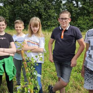 20240607_102335_original