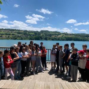 MALP_2024_8_original