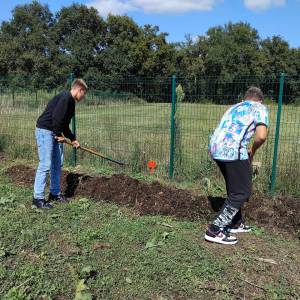 Photo_jardin_septembre_2024_2_original