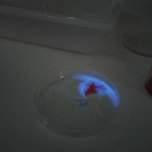 458480140_553023860730005_5744975258729009031_n_original