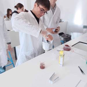 459054327_8392177130898543_934440329110715729_n_original