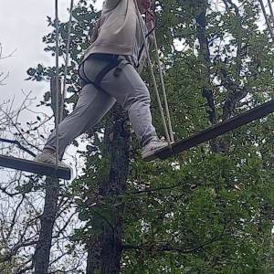 IMG-20240924-WA0019_original