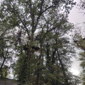 IMG_20240924_135858_original