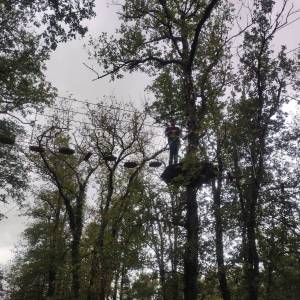 IMG_20240924_135902_original