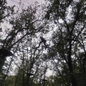 IMG_20240924_135915_original