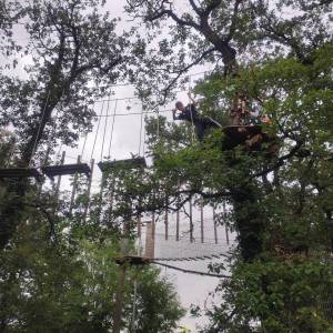 IMG_20240924_135952_original