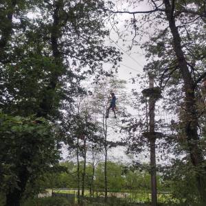 IMG_20240924_140003_original