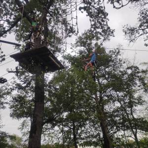 IMG_20240924_140044_original