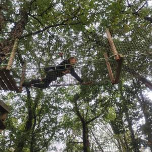 IMG_20240924_140201_original