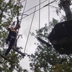 IMG_20240924_140353_original