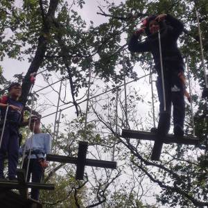 IMG_20240924_140441_original