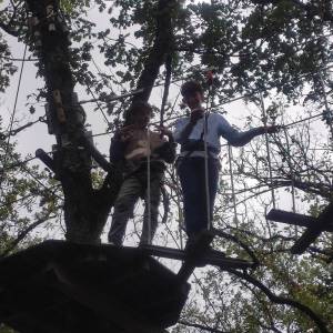 IMG_20240924_140551_original