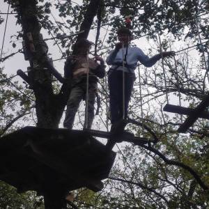 IMG_20240924_140554_original