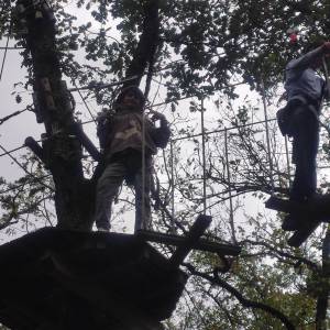 IMG_20240924_140600_original