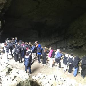 2BB09452-E67C-428D-880F-0B44F7C3D594_original