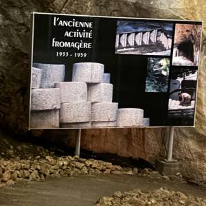 8C1F37AC-E1B3-4361-A237-D0A436507F50_original