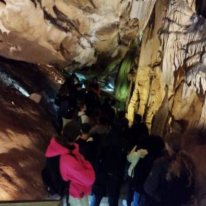 AF2E081C-1FE2-4770-A9F4-12C2EE877C8E_original