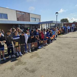 IMG-20241011-WA0012_original