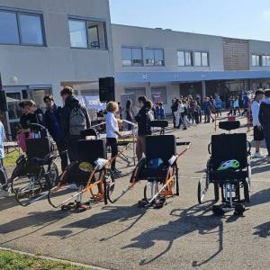 IMG-20241011-WA0016_original