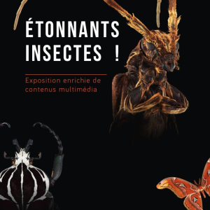 Affiche_expo_insectes_original