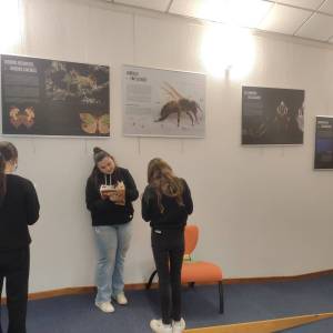 IMG_20250128_1544391_original