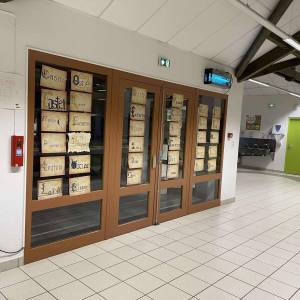 467430059_1268006541186956_6341200033439639365_n_original