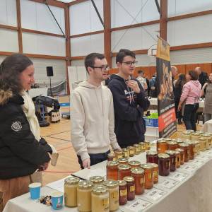 20250315_113111_original