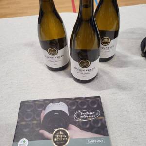 20250315_083430_original