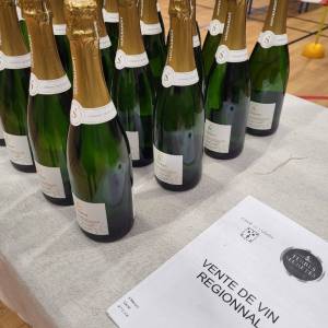 20250315_083531_original